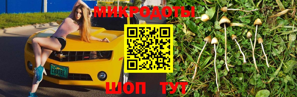 Галлюциногенные грибы Magic Shrooms Богородицк
