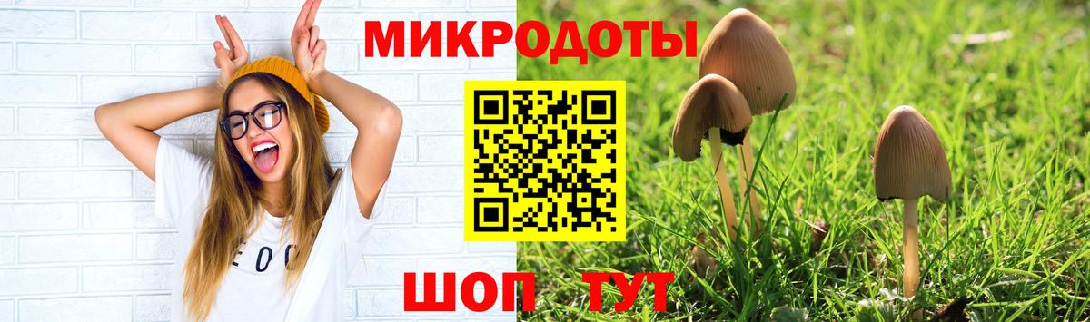 Богородицк  Галлюциногенные грибы Psilocybe  Вход с VPN  Псилоцибиновые грибы ЛСД 